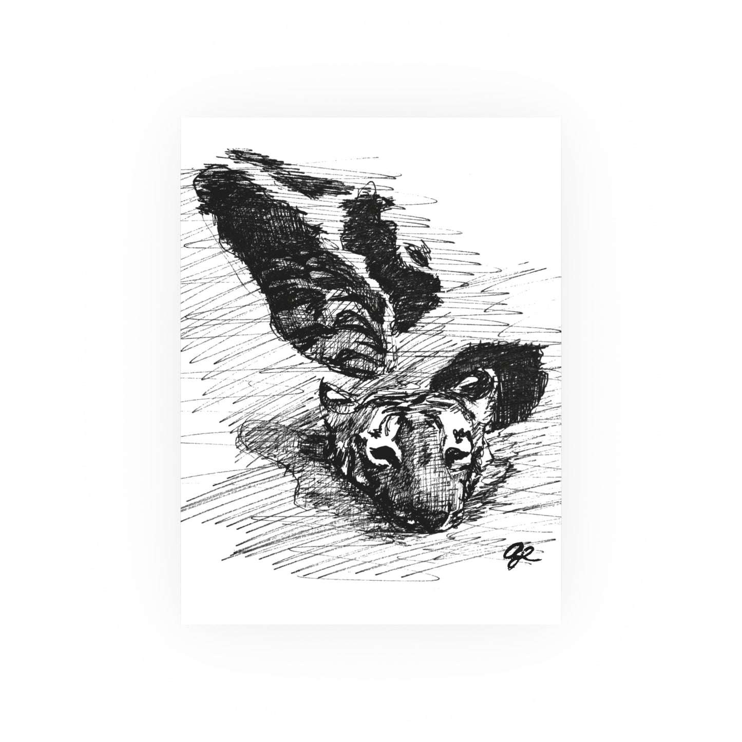Tiger Scribble Print