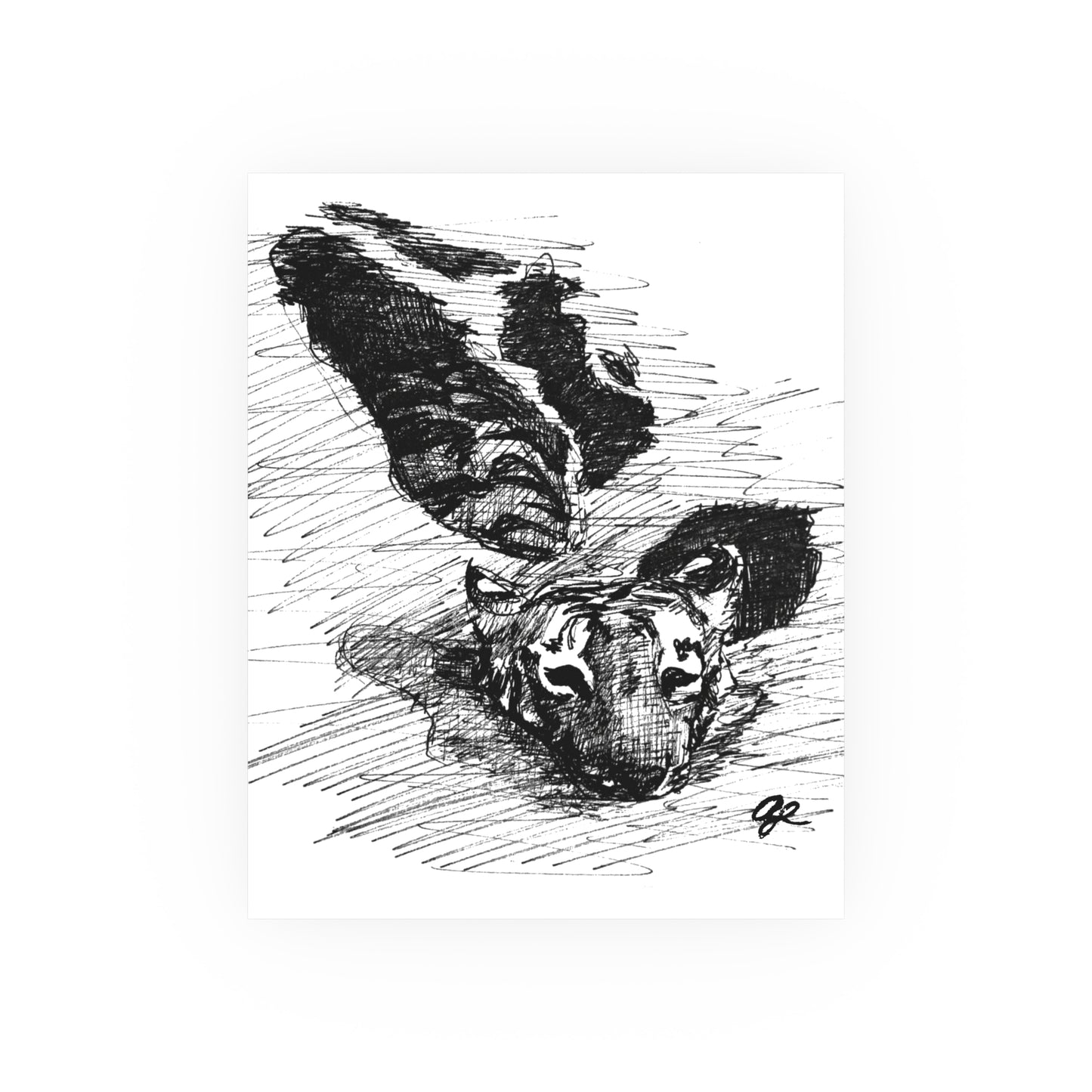 Tiger Scribble Print